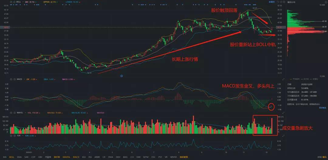 歌爾股票，小巷深處的隱藏寶藏揭秘，特色小店的股市奇妙之旅