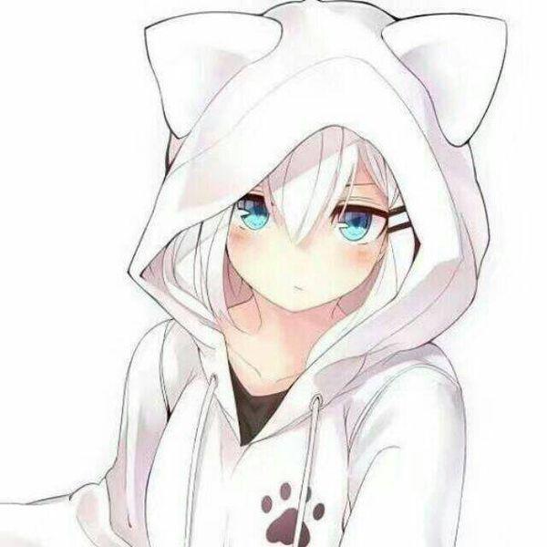 貓女動漫頭像,小巷深處的寶藏小店的神秘魅力