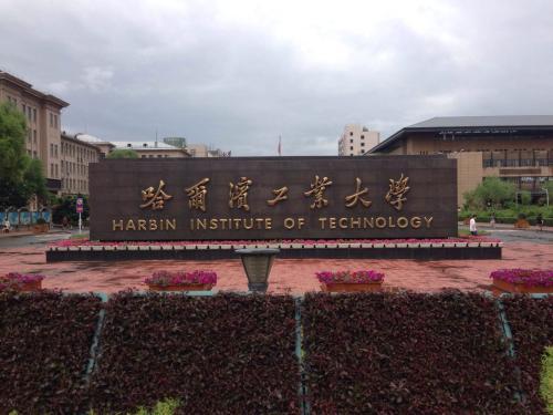 最新巨無霸榜單揭秘,小巷深處的隱藏瑰寶