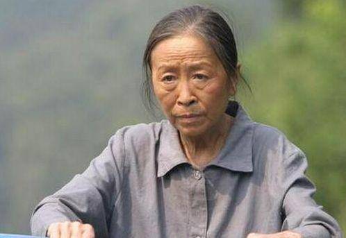 張少華,演員之路,演技與多維影響力的解讀之旅