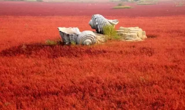 洮南新鮮熱點,高科技產品引領未來生活潮流