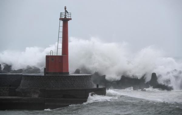新干線東京到大阪價格,新干線之旅,一段溫情脈脈的陪伴之旅