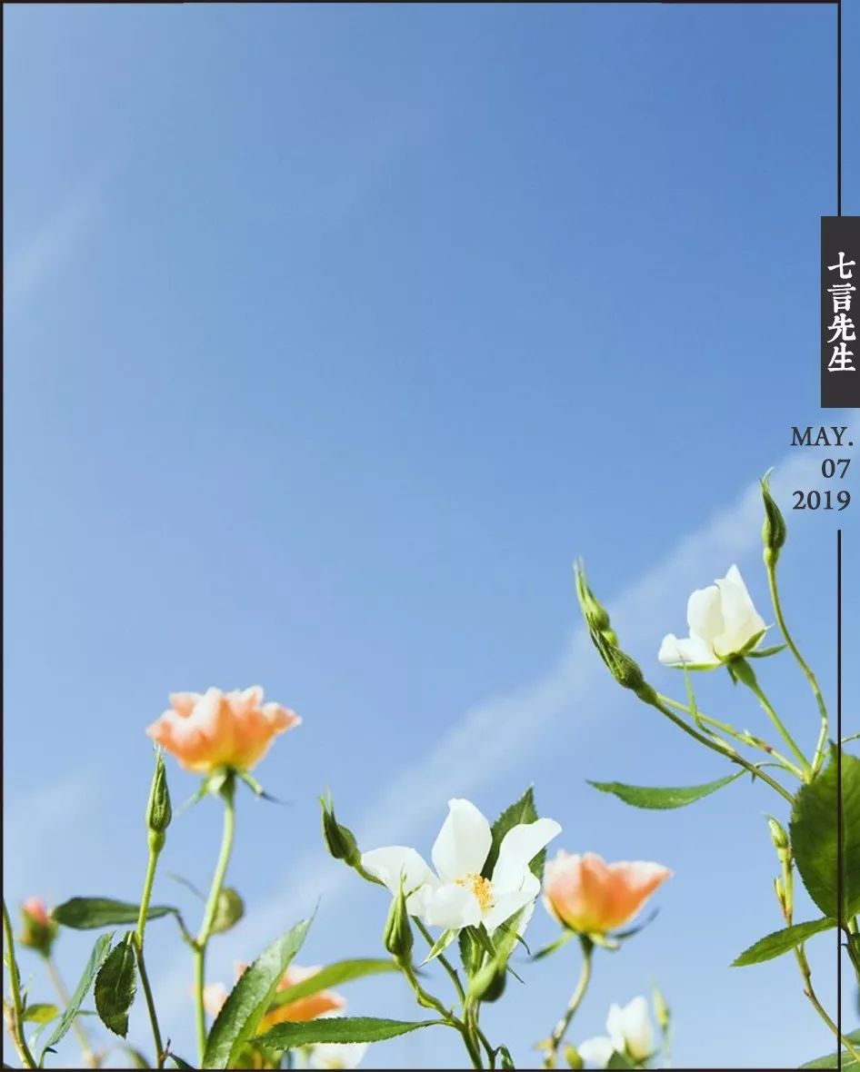 每日七言精選2016,時代印記與文化傳承的魅力