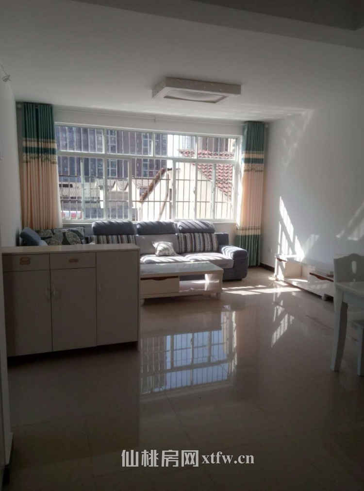 浠水租房信息深度探索,巷弄獨特風情與理想居住選擇