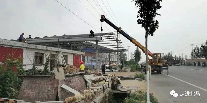 盧龍違建拆除最新進展更新??