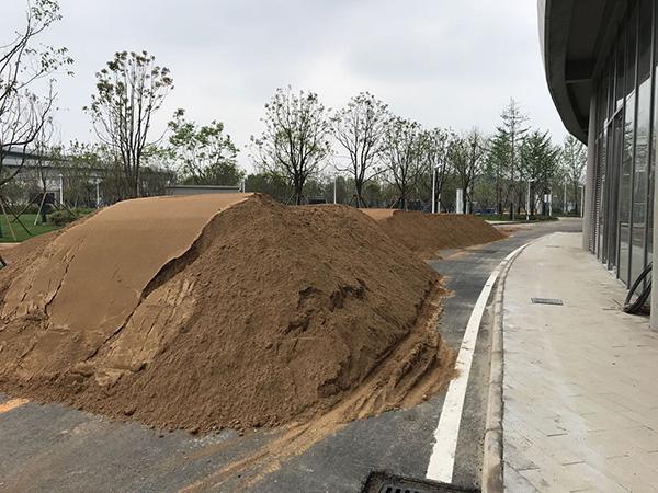 中超比賽地點的權衡,多元與集中的挑戰