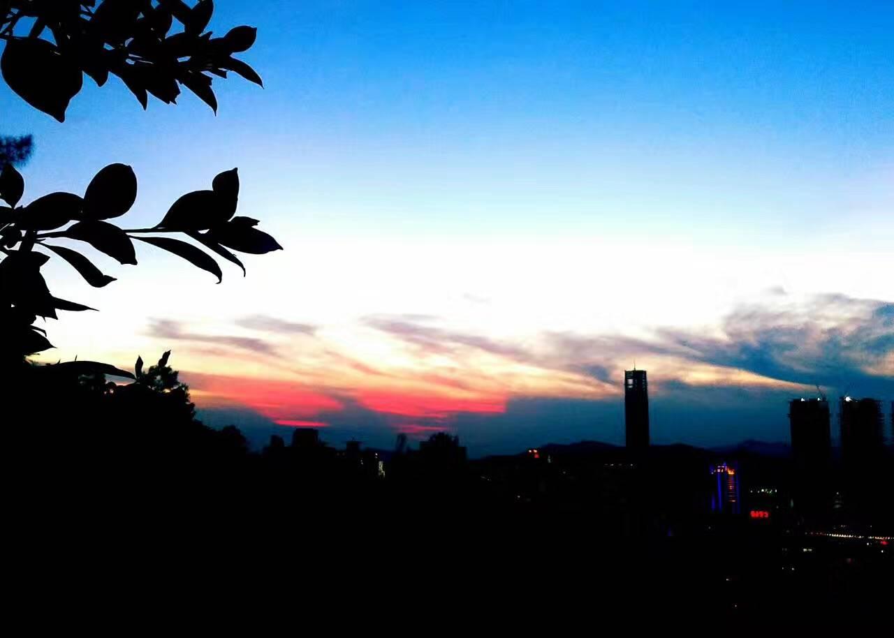 苗柏臺(tái)風(fēng)最新動(dòng)向,力量變化展現(xiàn)自信與成就之路