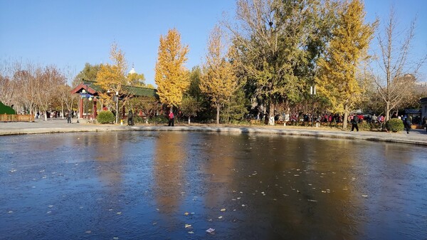 最新夜幕,變化中的學習之光,自信與成就感的源泉