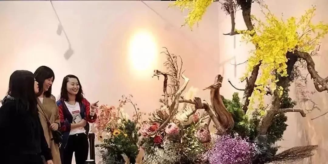 納蘭靜語最新現代作品——智能生活新紀元,科技重塑未來體驗的魅力