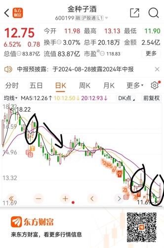 金種子酒股價最新動態及小巷深處的釀酒傳奇揭秘