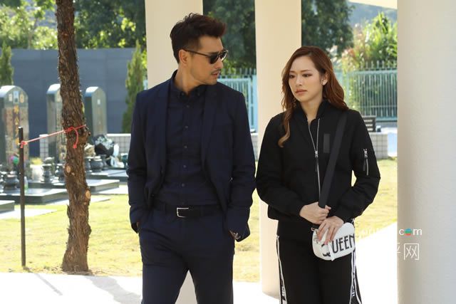 陳展鵬主演電視劇,探尋自然美景之旅,內(nèi)心平和與喜悅的追尋