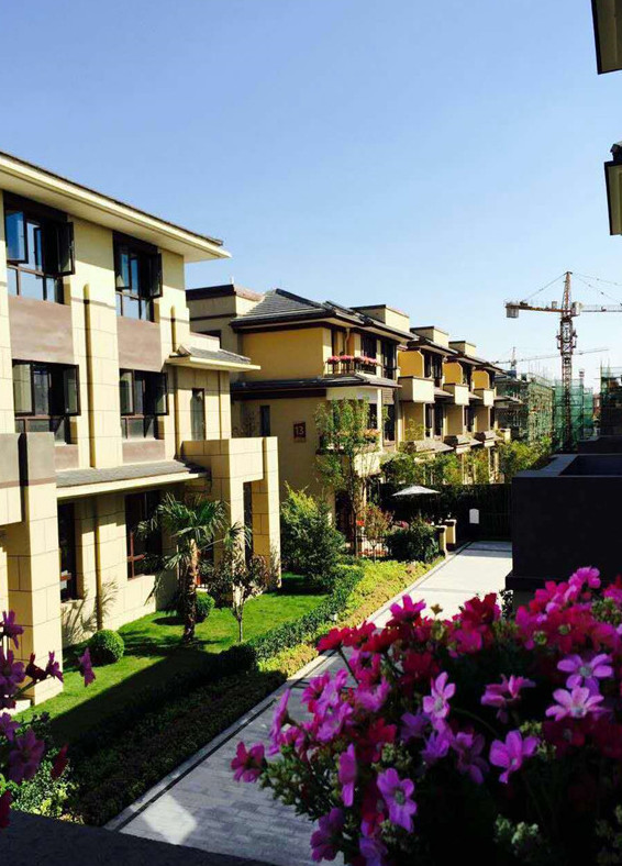 寶格麗小鎮最新資訊，學習變化，自信閃耀，共創美好未來成就