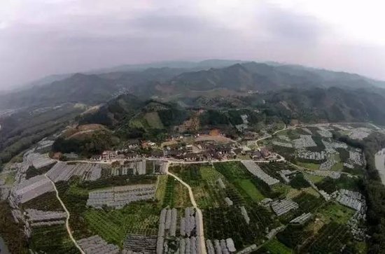 廣西昭平最新資訊,高科技產品引領未來,提升生活品質