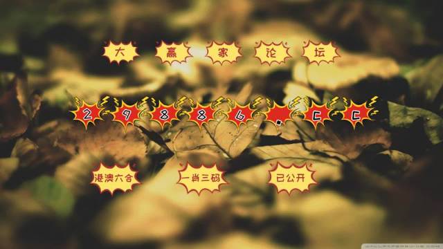 "2004澳門天天開好彩大全"的:公司決策資料_動圖版1.33