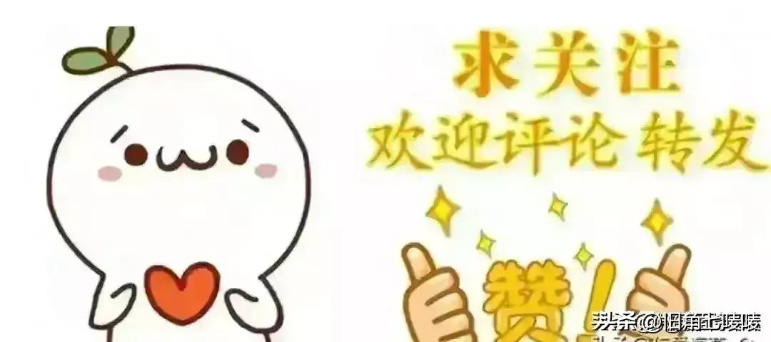 ＂2024全年資料免費大全功能＂的：執行機制評估_用心版4.76