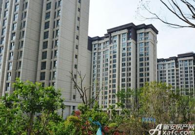 宿州首鋼首御最新動態與溫馨日常