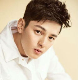 方齊苗最新個人資料揭秘，個人信息獲取與整理步驟指南