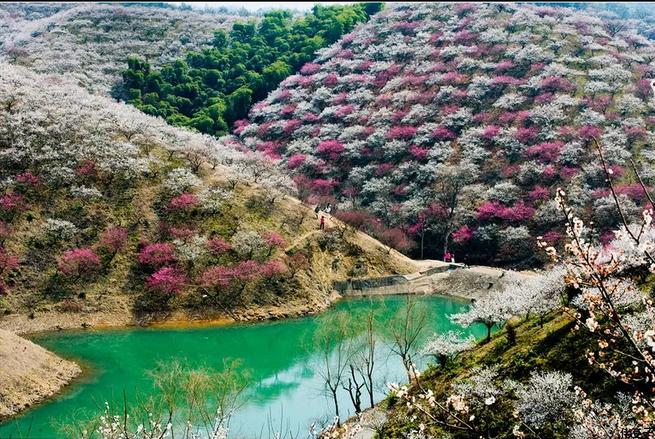 武漢江夏山坡最新規劃公布及觀點論述分析