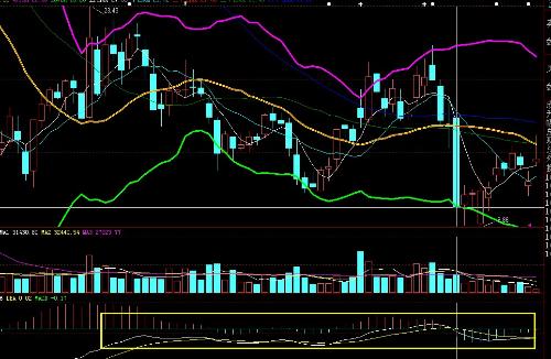 波動行情與內心寧靜的探索之旅，自然美景下的心靈對話