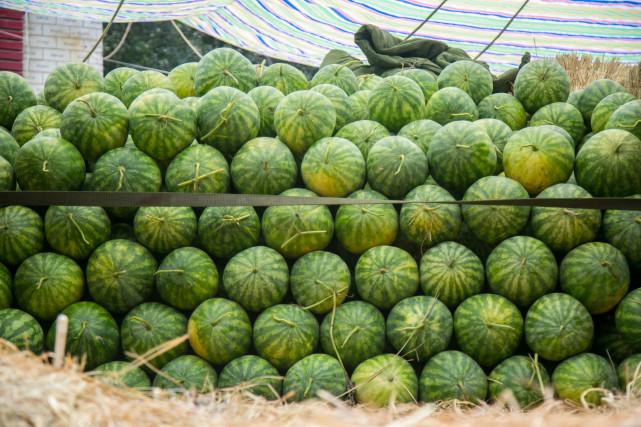 ＂澳門100%最準一肖＂的：快速實施解答研究_創意版3.38