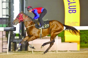 ＂澳門今晚開特馬四不像圖＂的：創新策略設計_安全版3.6