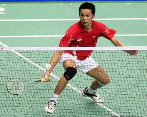 陶菲克羽毛球比賽視頻，觀看與學習指南