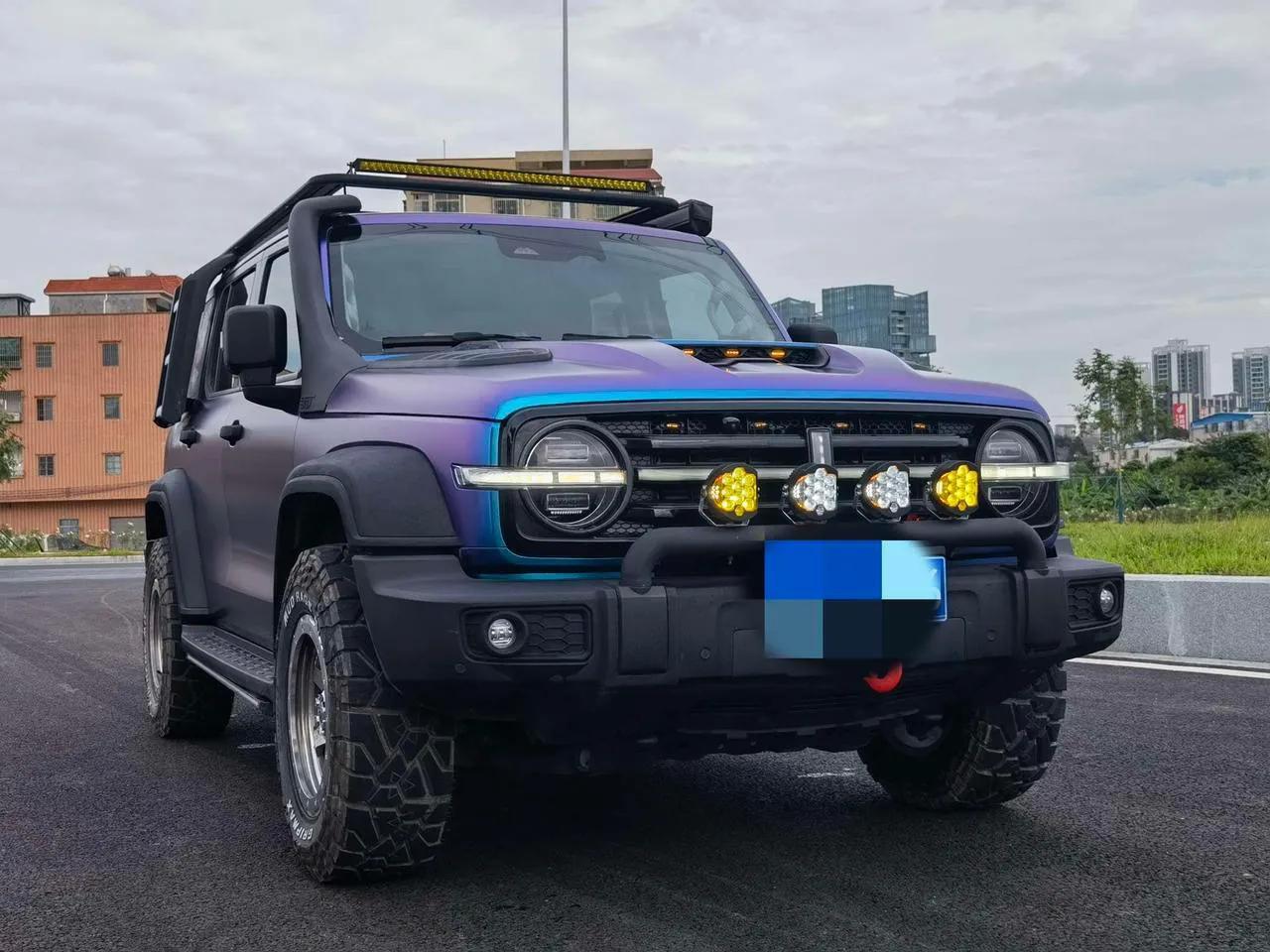 坦克300價(jià)格探秘,小巷中的意外驚喜