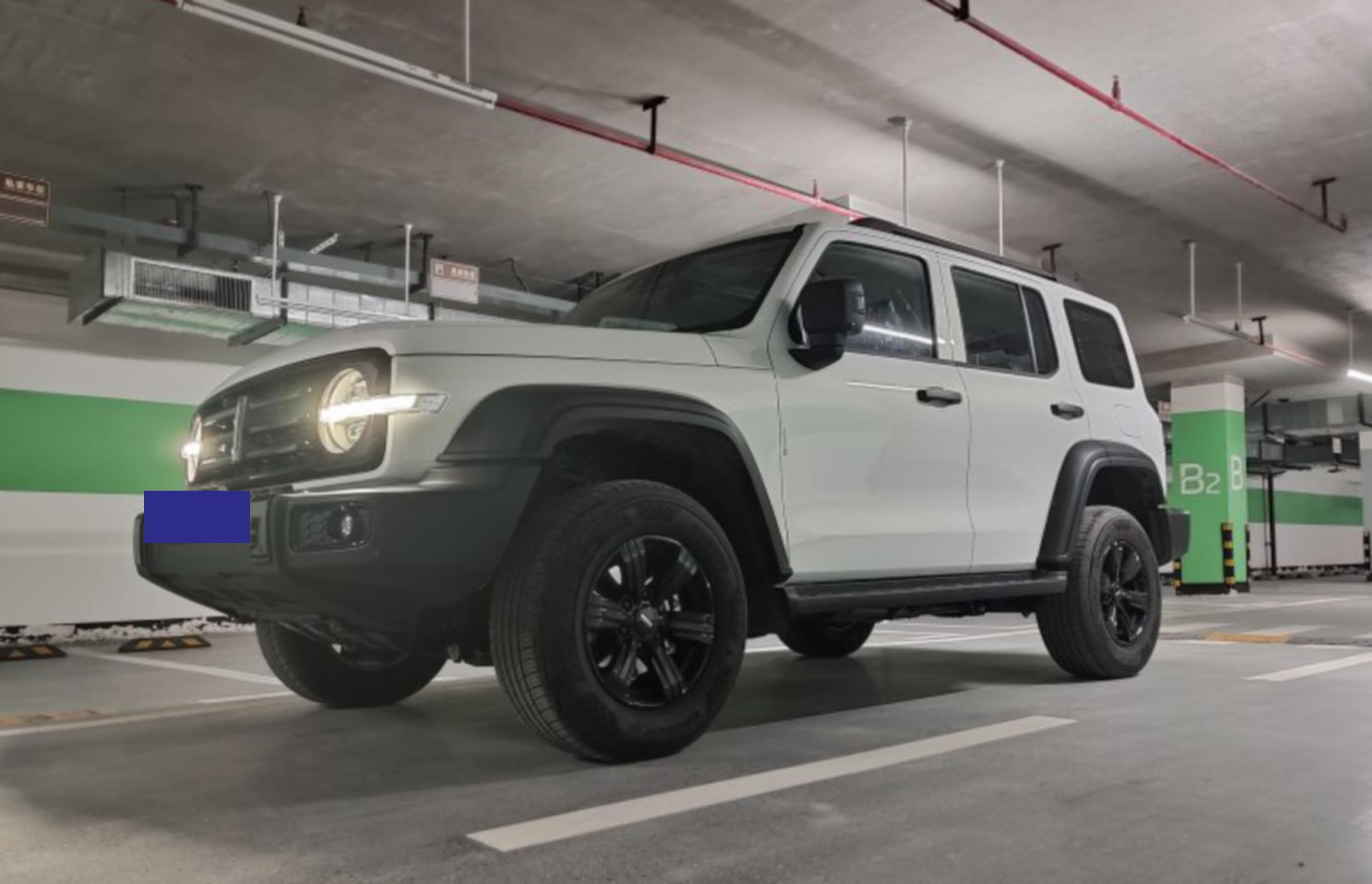 坦克300價(jià)格探秘,小巷中的意外驚喜