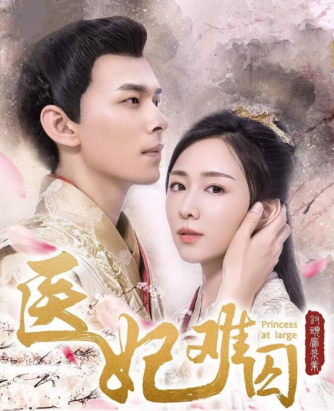 醫妃難囚演員表揭秘與小巷特色小店探秘之旅