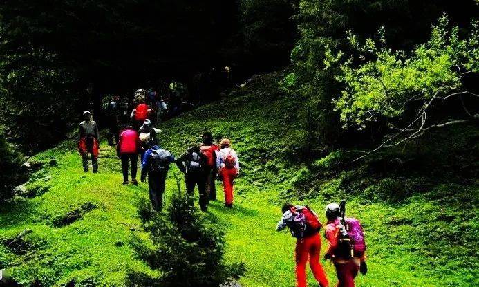 最新后峽動態(tài),最新后峽動態(tài)，發(fā)展與變化的深度探索