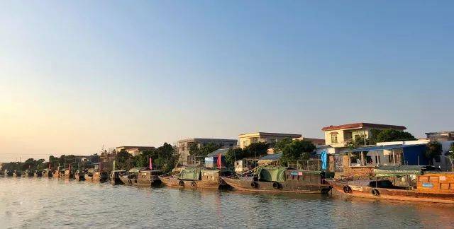 斗門白蕉鎮房價走勢深度解析,市場洞察與觀點闡述