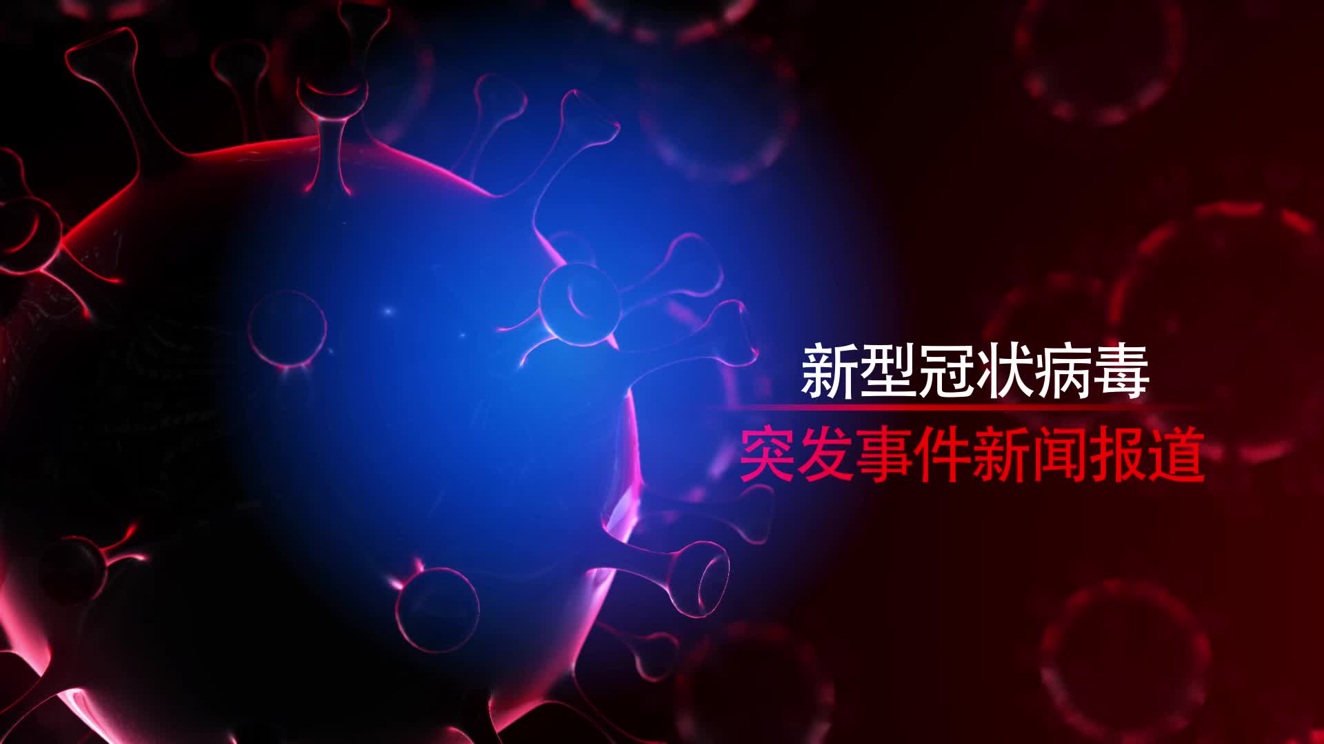 最新病毒動態與小巷深處的獨特風味