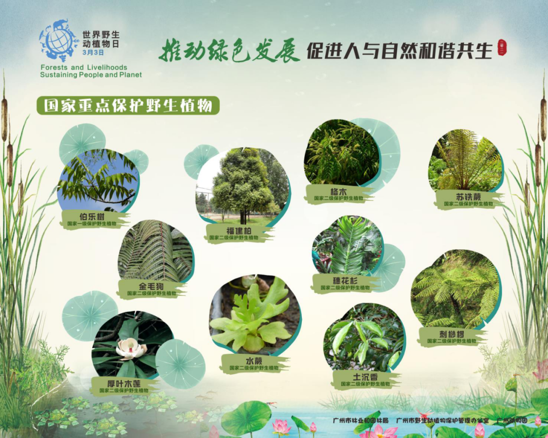 "0149開獎澳門網"的:植物保護_見證版3.37