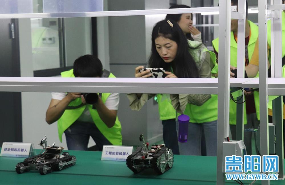 ＂澳門天天開彩大全免費＂的：數據科學解析說明_生態版9.86