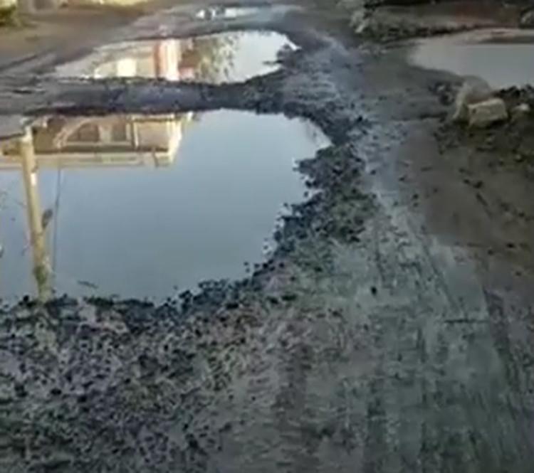 寧陽最新招標信息及小巷深處的獨特風味揭秘