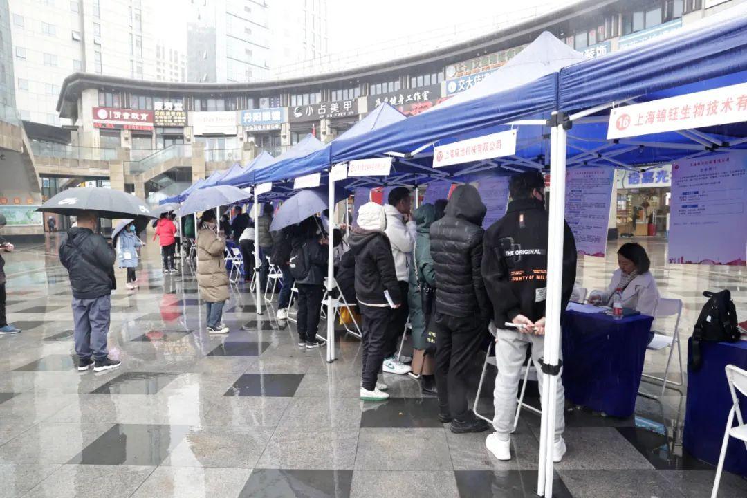 上海招聘會最新職位信息概覽,最新職位信息一網打盡