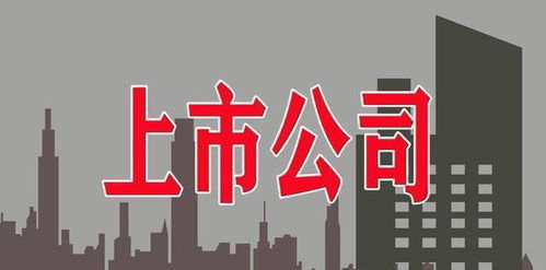 公司上市,機(jī)遇與挑戰(zhàn)并存,共創(chuàng)輝煌標(biāo)語!