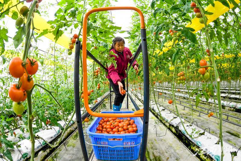 江西宜春小巷深處的獨特風味小店驚艷亮相最新新聞