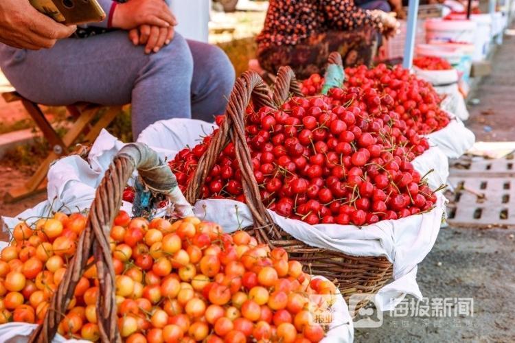 煙臺(tái)櫻桃上市,煙臺(tái)櫻桃上市，小巷深處的甜蜜誘惑
