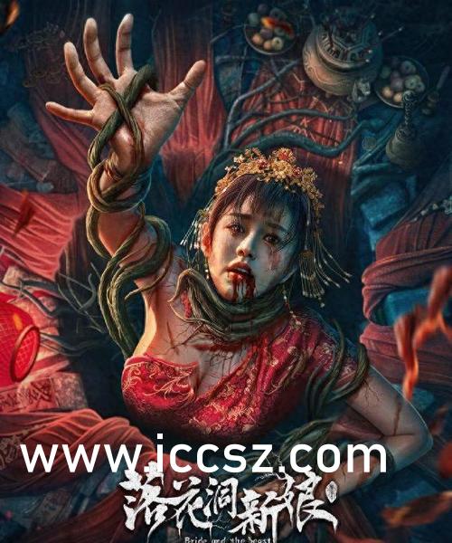 Seso最新資訊詳解,獲取與理解步驟指南