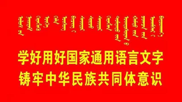 新澳精準(zhǔn)資料免費(fèi)提供221期,實(shí)地應(yīng)用實(shí)踐解讀_絕版50.454