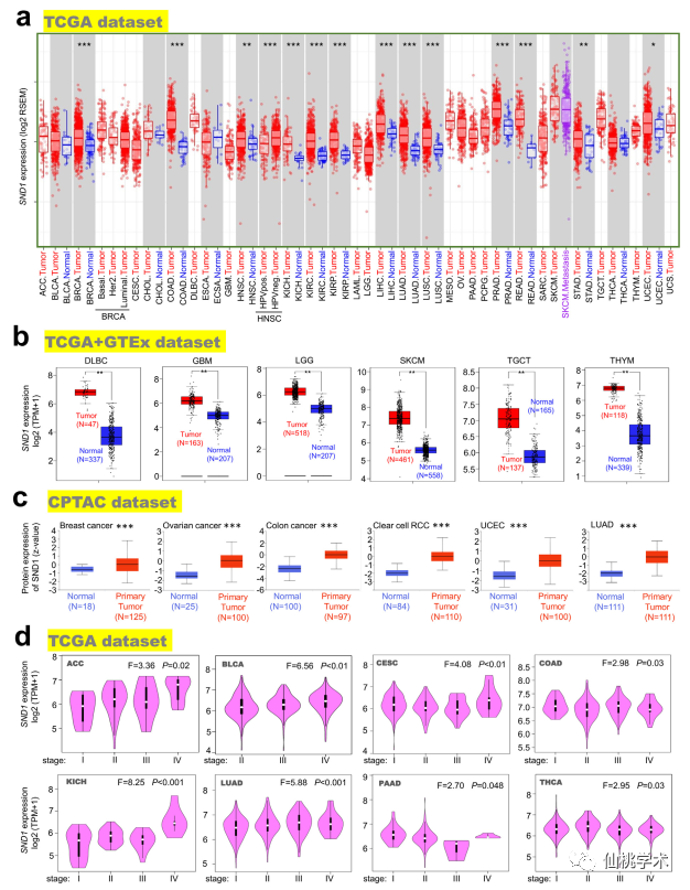 香港4777777開獎(jiǎng)記錄,數(shù)據(jù)整合解析計(jì)劃_限量版69.919