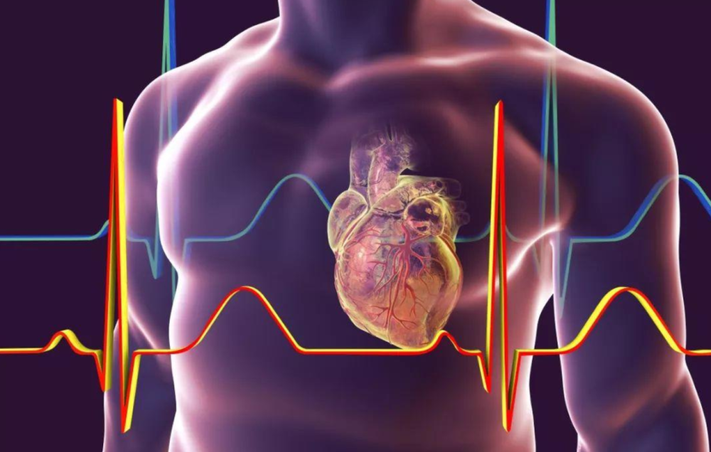 ＂新奧長期免費(fèi)資料大全＂的：科學(xué)分析嚴(yán)謹(jǐn)解釋_銳意版3.78