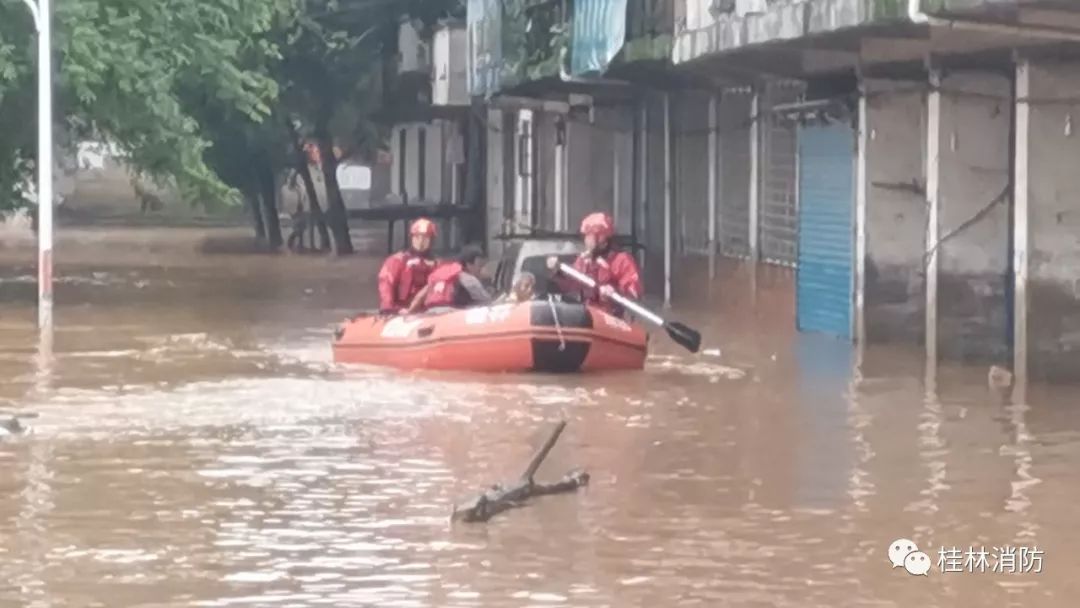 桂林洪水實時更新,最新動態報告
