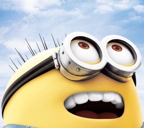 湖南下司犬最新上市，市場(chǎng)現(xiàn)象及各方觀點(diǎn)深度解析