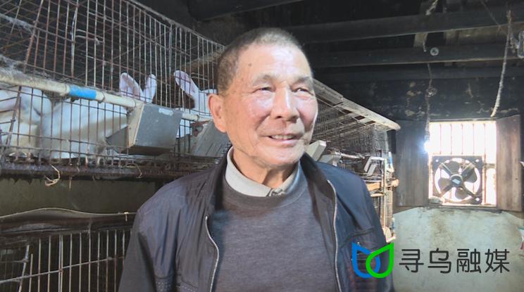 今年養兔行情分析,市場趨勢與前景展望