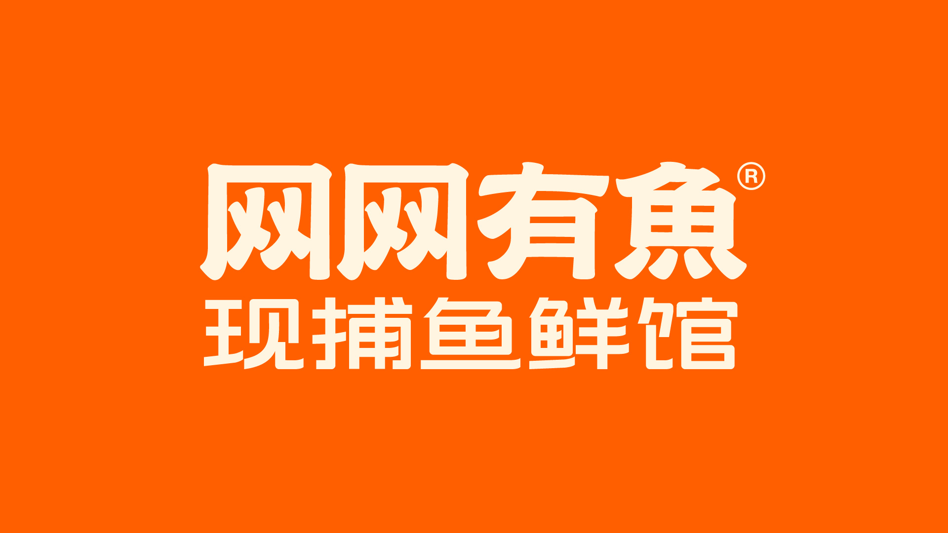 鮮網(wǎng)最新觀點(diǎn)闡述與深度解析