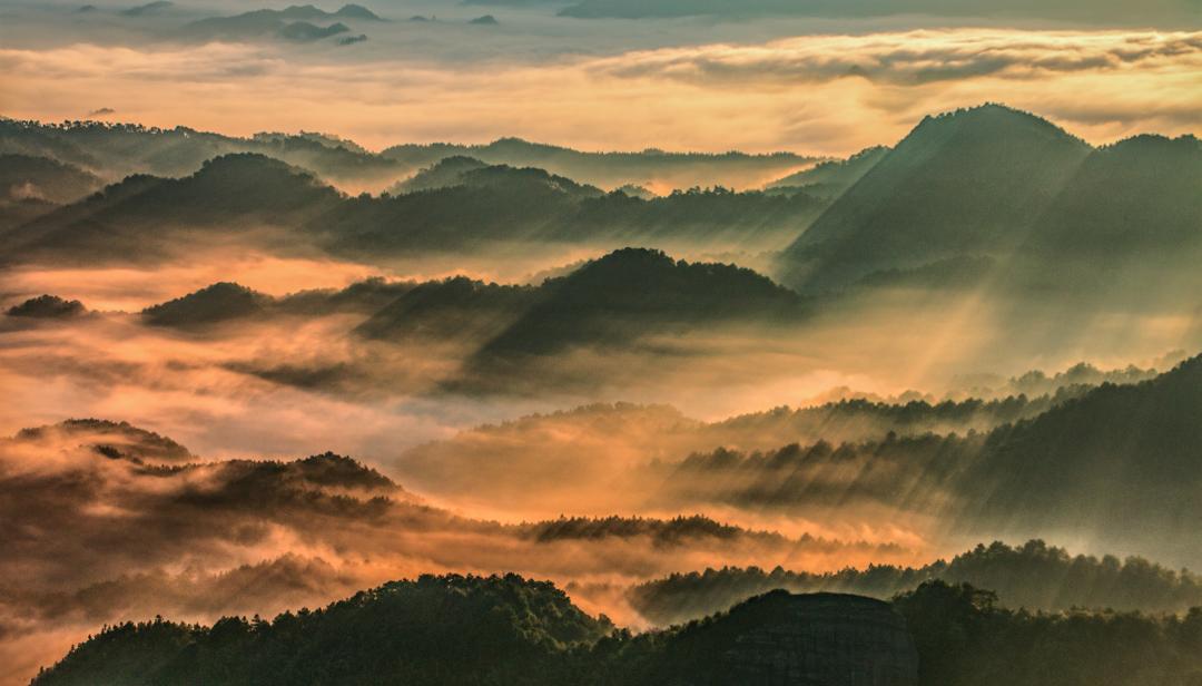 新寧高鐵最新進展動態報道