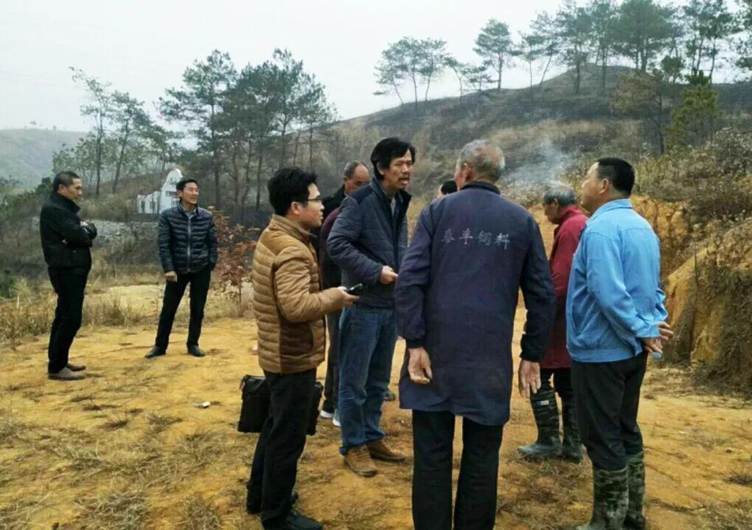 金牌調解精選，心靈與自然的完美邂逅