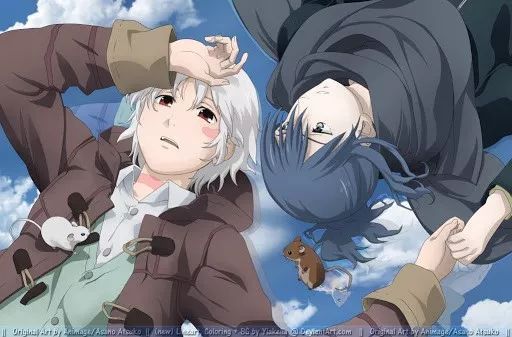 動漫禁忌,動漫禁忌,新手進階指南